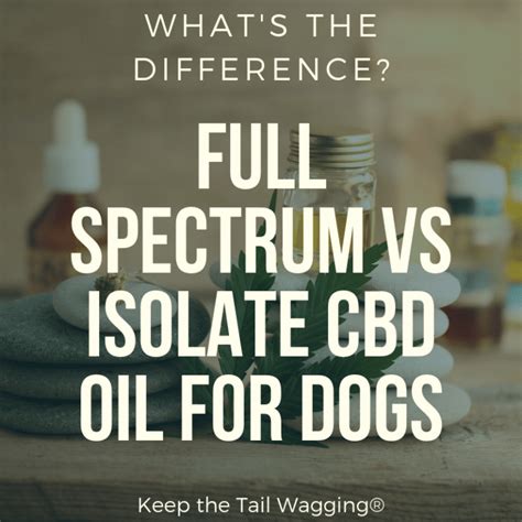 Full Spectrum Cbd Oil Vs Isolate For Dogs
