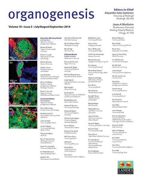 Full article: Cellular and morphological aspects of fibrodysplasia ...