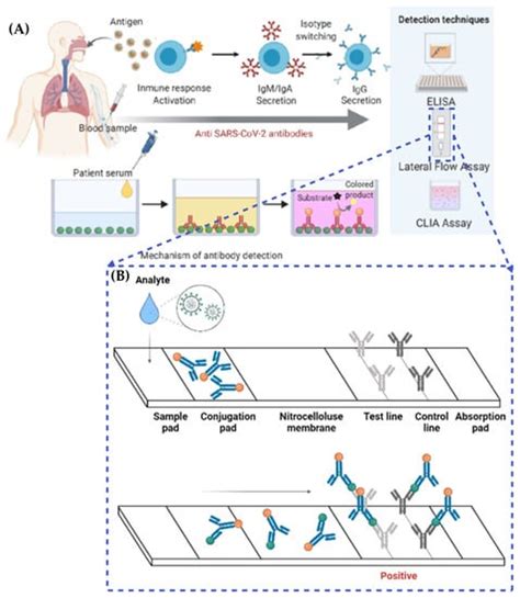 Full article: Current advances in immunoassays for the detection …