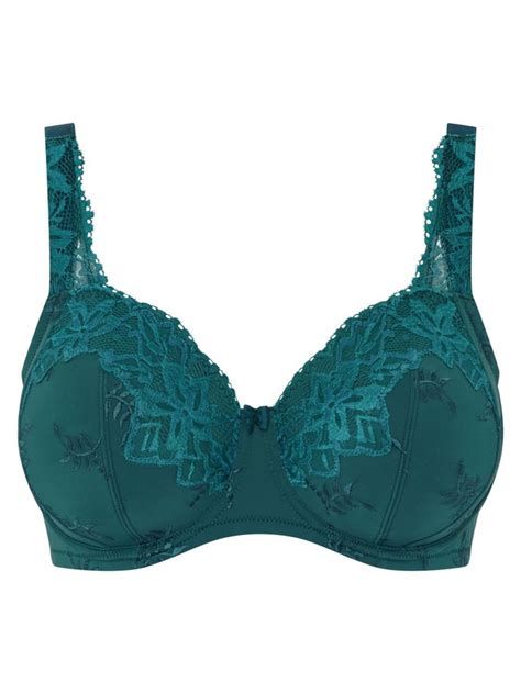 Full cup bh.  Define full. : a full load of five tons; to receive full pay.  FULL d...