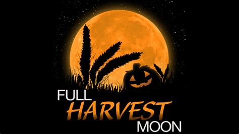 I consent to sign up for the Full Harvest Moonz member list where I will receive marketing communication via text message, calls, email or other outreach channels. By doing so, I understand that I am allowing Full Harvest Moonz and it's technology provider to retain my personal contact details / engagement history for use in personalized marketing.. 