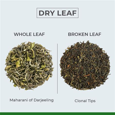 Full leaf tea. This green tea collection is derived from loose leaf tea leaves that have been steamed, rolled, and then fired. Go ahead – steep a pot of delicious varieties of green tea leaves including organic green full-leaf loose tea and more. 