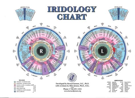 FullBox Series 1 of HHH: Iridology & Rayid Method + MBTI + Tools