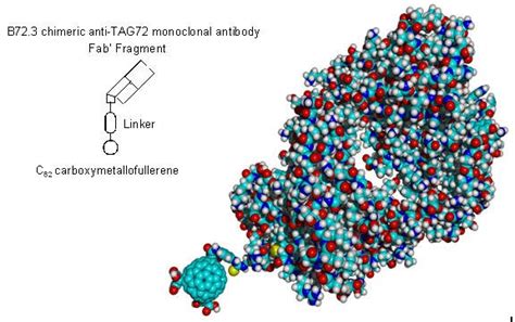 Fullerenes for Bioscience & Photovoltaic Applications - Sigma …