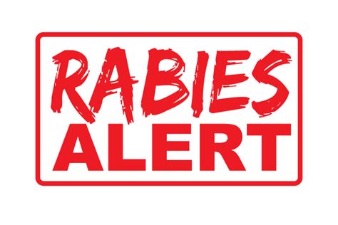 Fulton County issues rabies alert