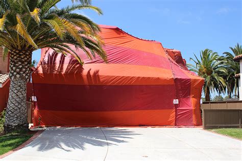 Fumigate house. The video shows the step-by-step process for fumigation, including sealing off the area, setting up equipment, and releasing the fumigant. It also shows the ... 