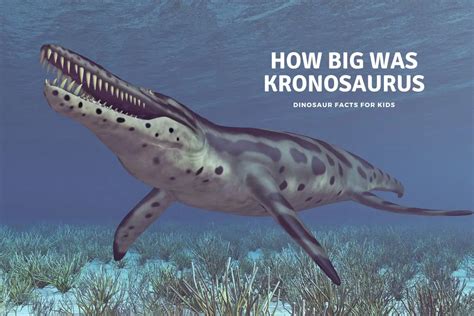 Fun Kronosaurus Facts For Kids Kidadl