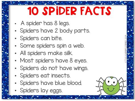 Fun Mouse Spider Facts For Kids Kidadl