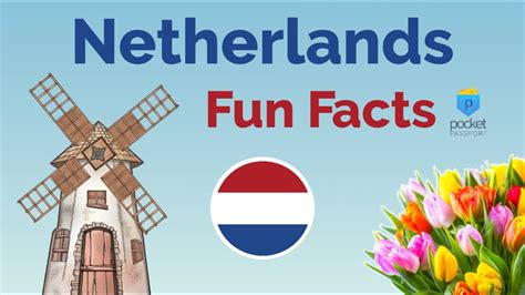 Fun Netherlands Facts for Kids - Interesting Information