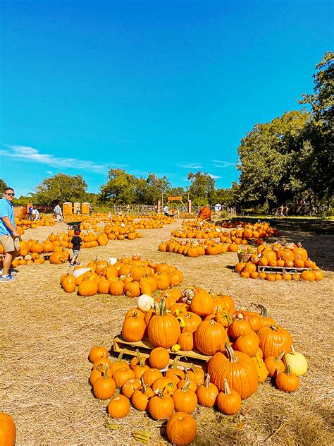 Fun Things to Do in Austin This Fall Thrillist