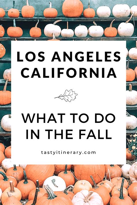 Fun Things to Do in Los Angeles This Fall Thrillist