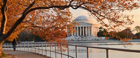 Fun Things to Do in Washington DC This Fall Thrillist