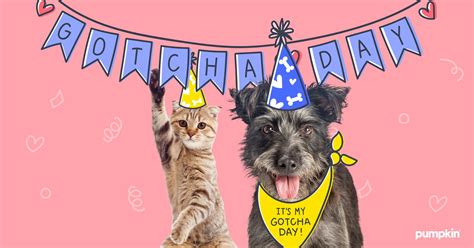 Fun Ways To Celebrate Your Pup’s Birthday (Gotcha Day)!