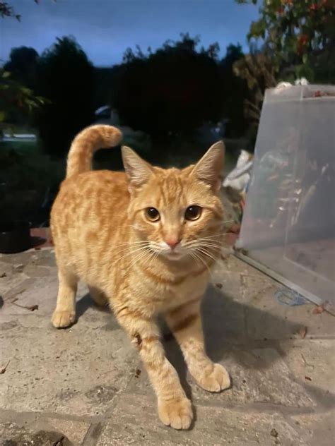 Fun classes at utd reddit.  Preferably something easy and I have always wanted...