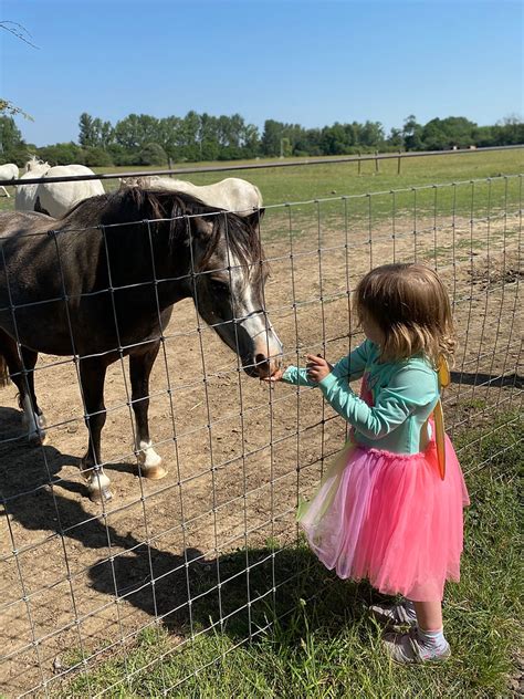 Fun days out with kids: Hopefield Animal Sanctuary in Essex