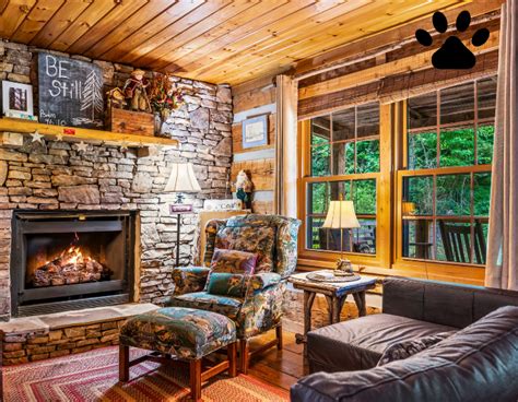 Fun pet-friendly rentals