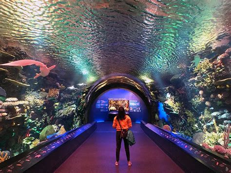 Fun places in nyc