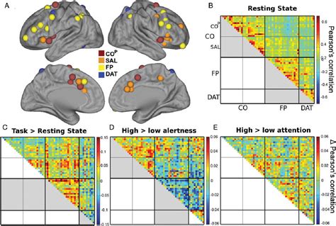 Functional Characterization of the Cingulo-Opercular …