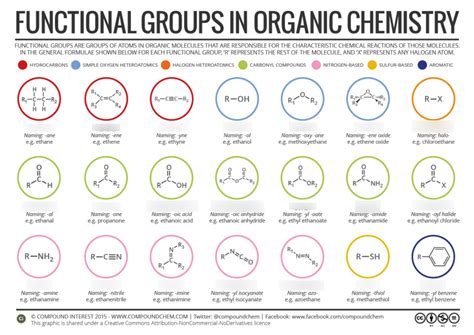 Functional Groups Quizlet