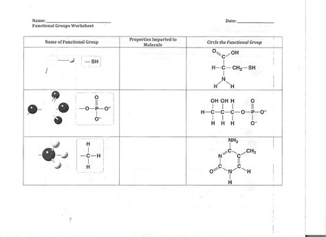 Functional Groups Worksheet Drawing Printable Worksheets and