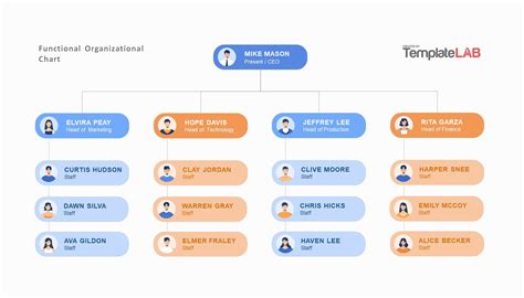 Functional Organizational Chart Template Master Template