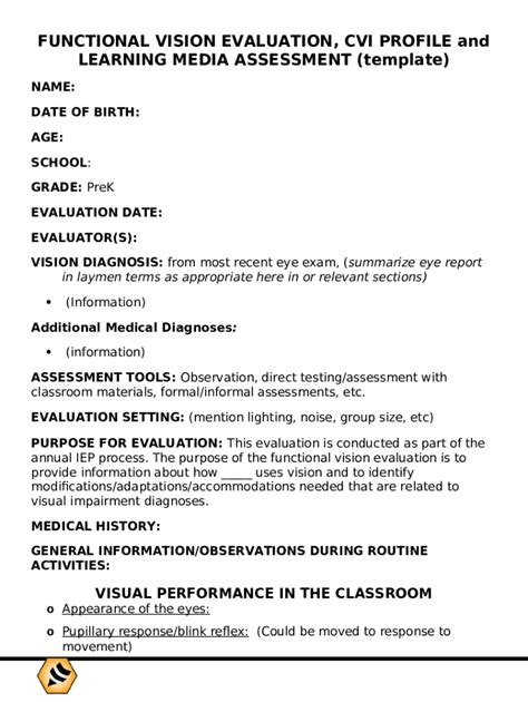 Functional Vision Assessment Template