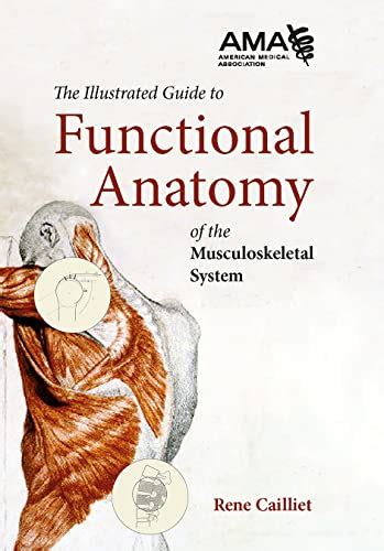 Functional anatomy a guide to musculoskeletal anatomy for professionals. - Metals handbook volume 11 failure analysis and prevention asm handbook.
