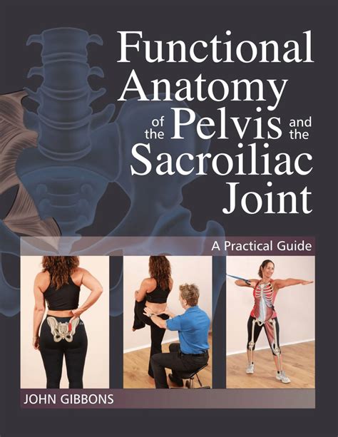 Functional anatomy of the pelvis and the sacroiliac joint a practical guide. - The family council handbook how to create run and maintain.