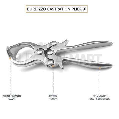 Functions of burdizzo.  Unlike traditional surgical techniques, the Burdizzo...
