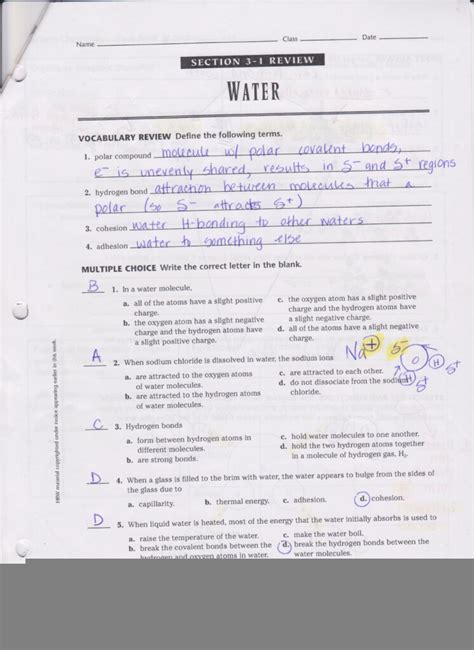 Fundamentals Of Genetics Worksheet Answers