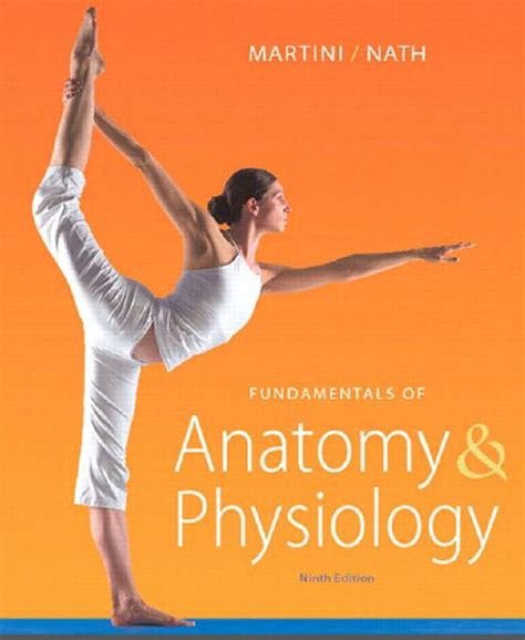 Fundamentals of anatomy and physiology martini free download. - The alpha males guide to mastering the art of eye contact.
