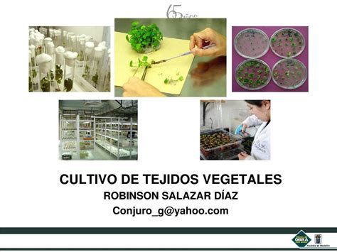 Fundamentos teórico prácticos del cultivo de tejidos vegetales. - 2009 kymco agility 125 manuale d'officina.