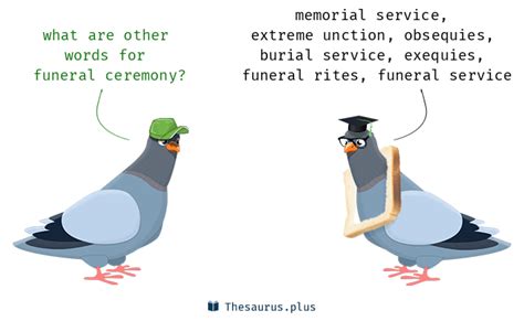 Funeral ceremony synonyms. .  ...