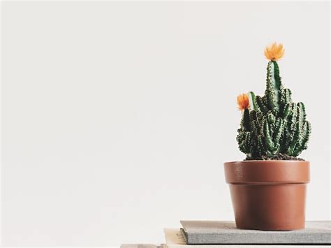 Funeral homes in scarborough maine. .  ...