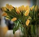 Funeral homes in wheeling wv.  Offer condolences/tributes, send flowers...