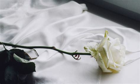 Funeral homes madison ga.  Contact Us - A.  Plus info on funeral service...