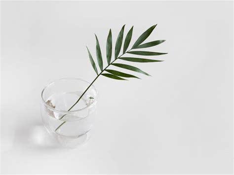 Funeral homes paramus nj.  They are experienced in arranging traditional...