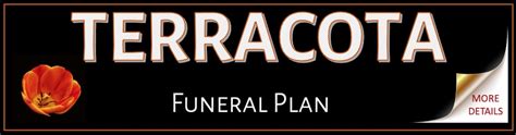 Funeral plans for expats in spain.  The Direct to Cremation Plan (Spai...