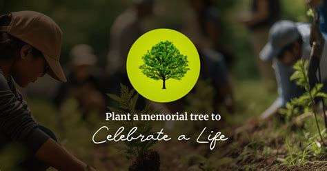 Funeral tree planting.  In conclusion, a memorial tree planting ceremony ...