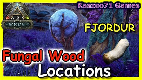Fungal wood fjordur. In fjordur inside the abberation cave in Vannaland close to the beach, if you got the megapithicus terminal where a karkinos spawns, in the little pond with the lampreys, you can find a lot of decent sized x-sabertooth salmons, for shadowmane taming. ... Fungal Wood can be found in the swamp on Asgard (purple trees) and in the Aberration caves ... 