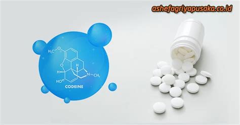 Fungsi Codein: Celebrating the Feast: Traditions Surrounding the Assumption of Mary image 1