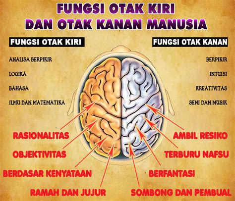 Fungsi Otak Kanan dan Otak Kiri, Apa Perbedaannya? - Hello Sehat