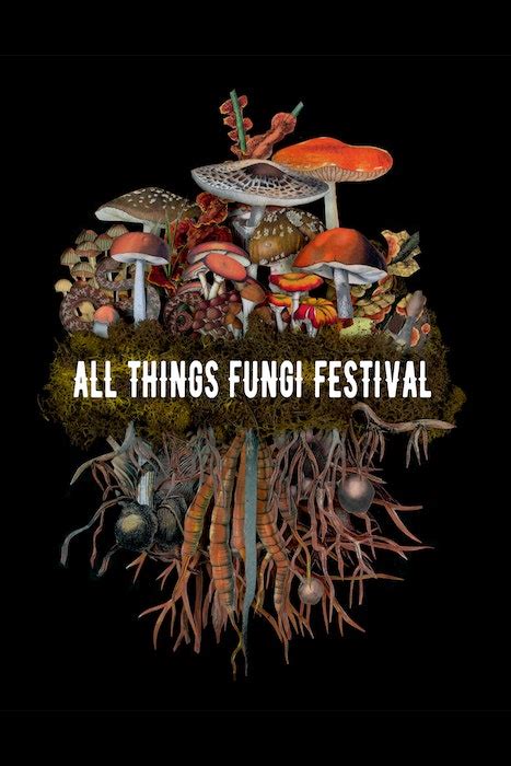 Fungus Festival 2024 Mommy Poppins - Things To Do in New …