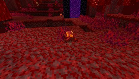 Fungus in Minecraft