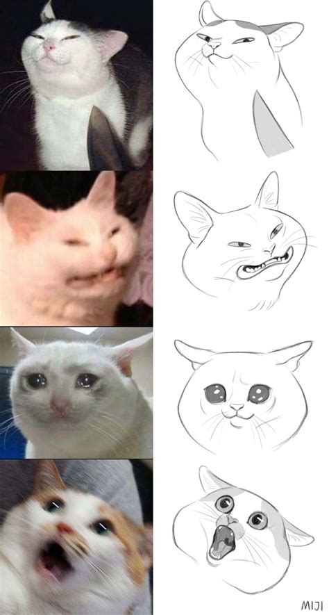 Funny Cat Drawing Meme