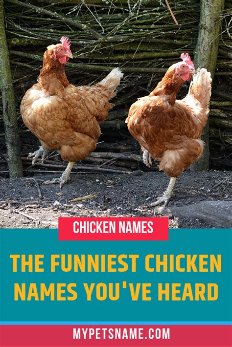 Funny Celebrity Chicken Names