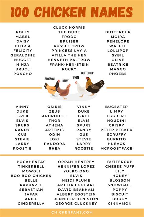 Funny Chicken Names List of Cute Name Ideas for …