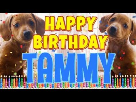 Funny Happy Birthday Tammy Memes - DOG BREAD