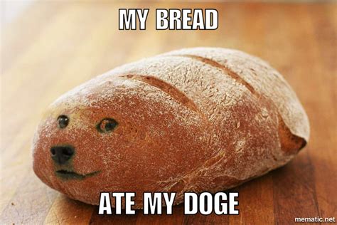 Funny Picnic Memes - DOG BREAD