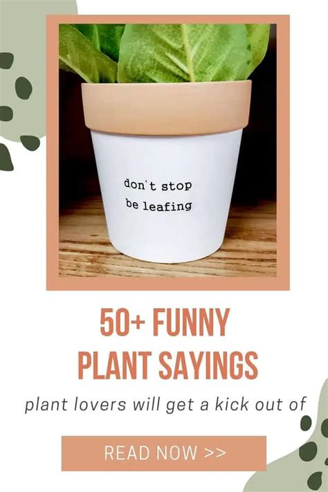 Smiling Middle Finger Planter With Drainage Plant Pot With Drainage Hole  Planters and Pots Flower Pot Funny Planters for Houseplants 